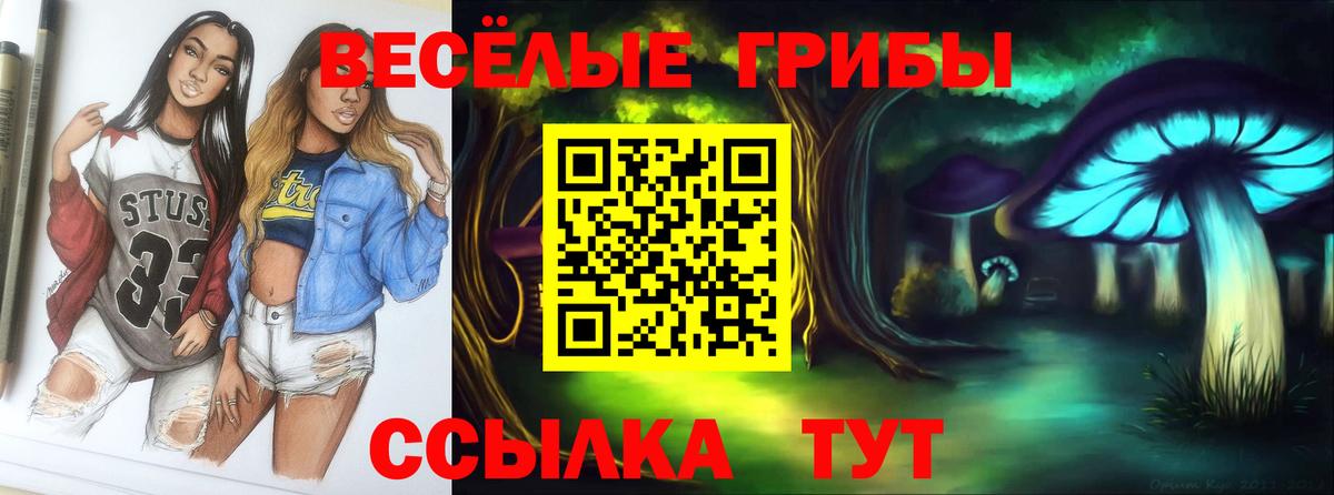 Галлюциногенные грибы мицелий  Псилоцибиновые грибы Magic Shrooms  Фрязино  Вход с VPN 